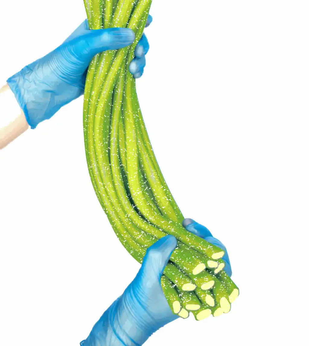 Fizzy Lemon & Lime Sweet Cable UK